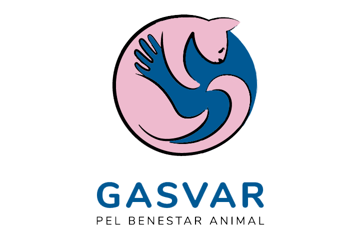 Logo Gasvar